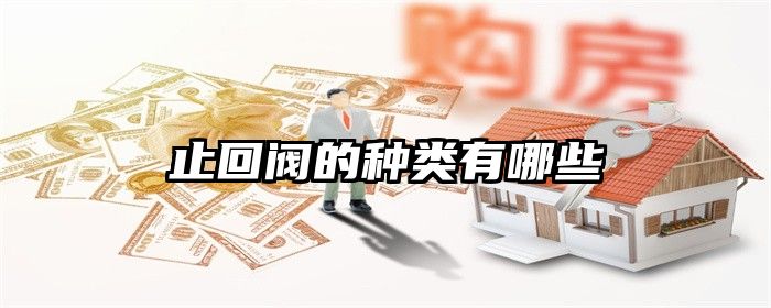 止回阀的种类有哪些