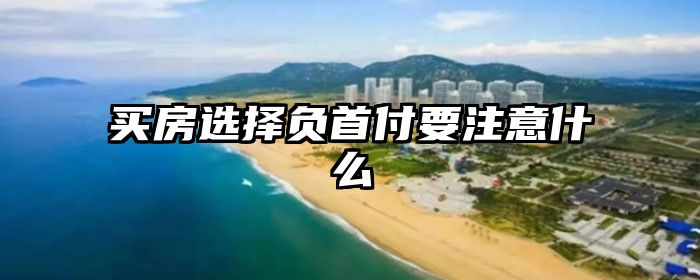 买房选择负首付要注意什么