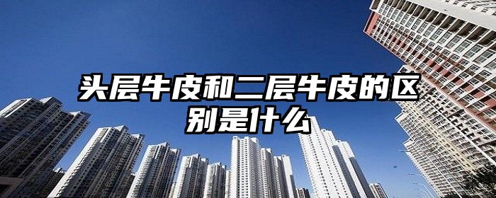 头层牛皮和二层牛皮的区别是什么
